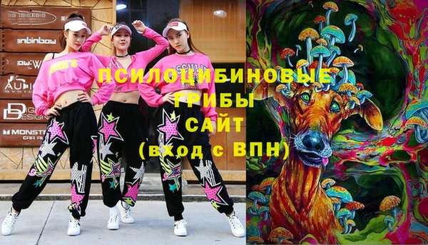 марки lsd Вяземский