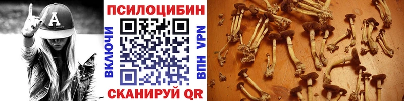 гидра рабочий сайт  дарнет шоп  Каспийск  Галлюциногенные грибы Psilocybe 